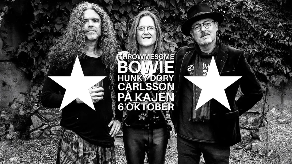 TMS BOWIE – Hunky Dory